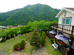 2층에서 바로본 정원