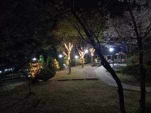 잔디정원의 야경