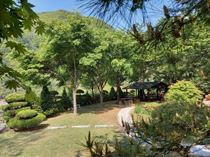 잔디 정원