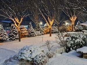 참조은펜션의 겨울 정원